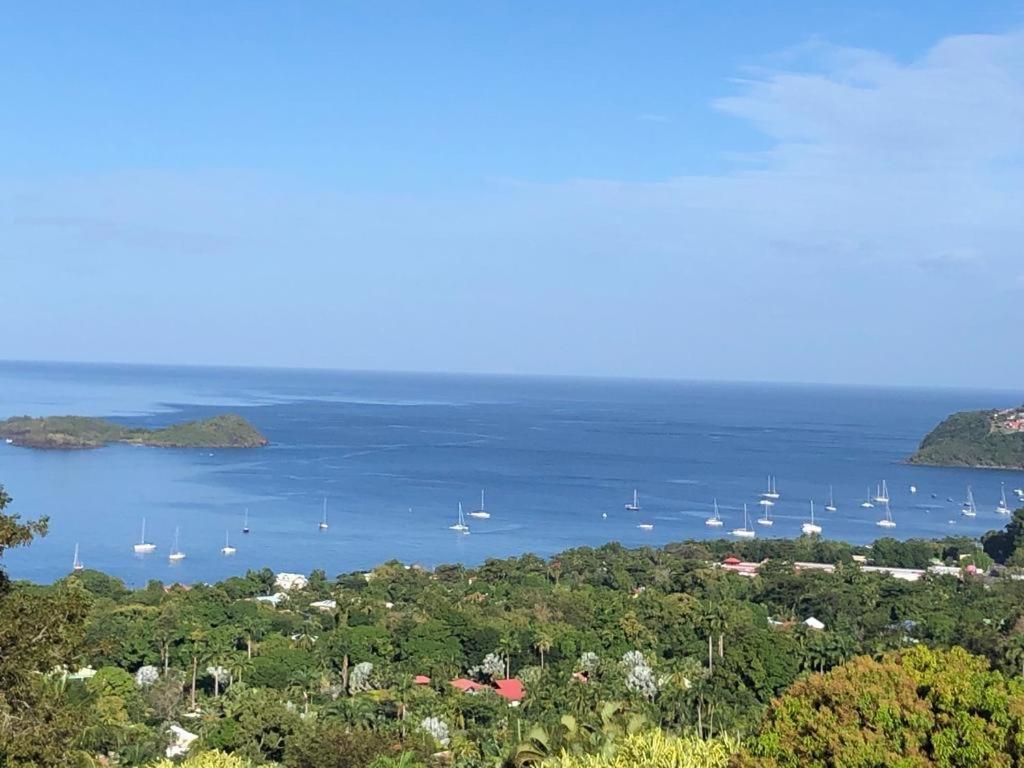 Calypso Bay Villa Bouillante Kültér fotó